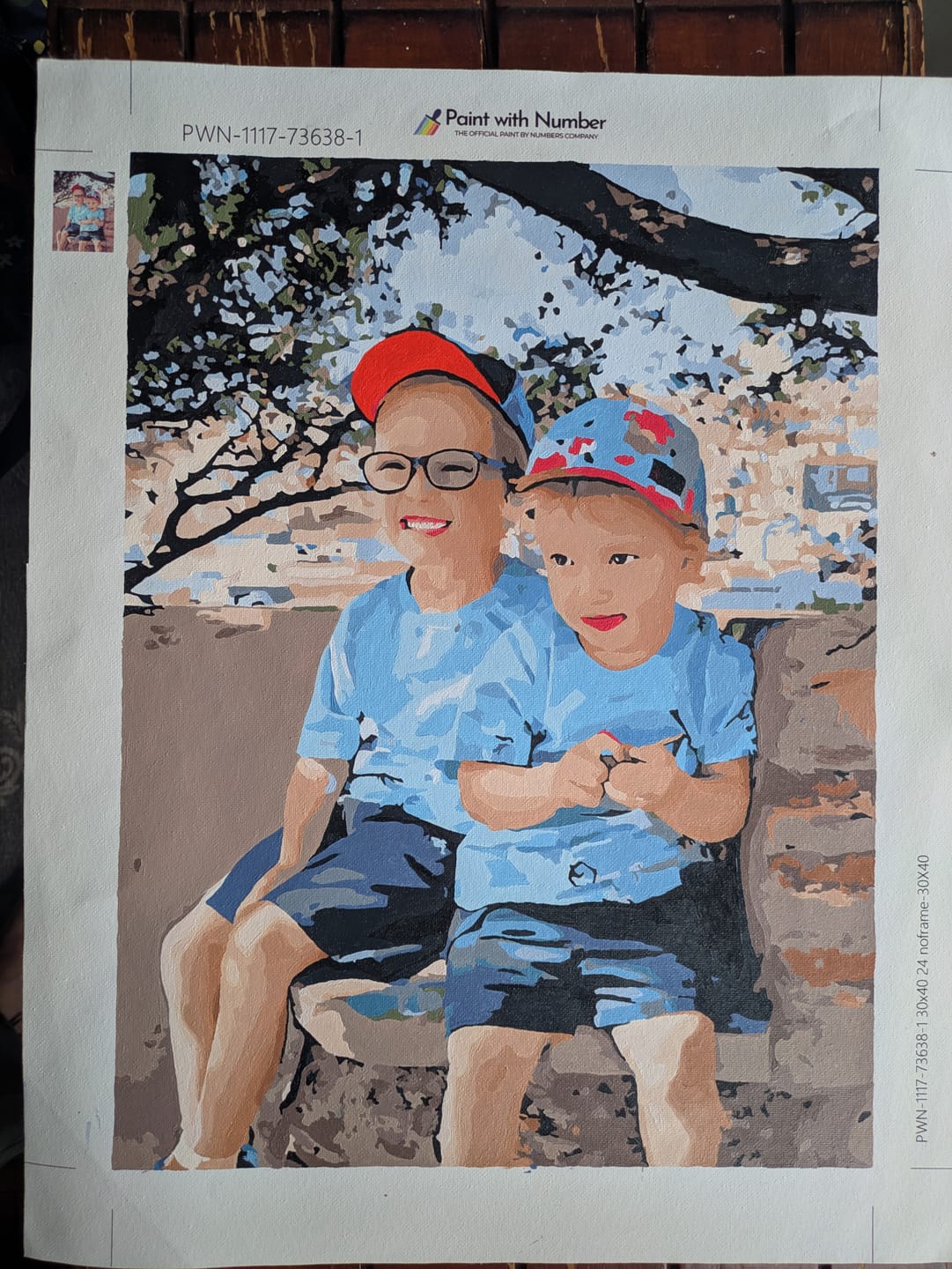 Customer photo review of Paint with Number® Custom Kit