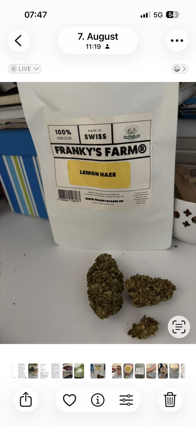 Customer photo review of Lemon Haze - CBD Blüte