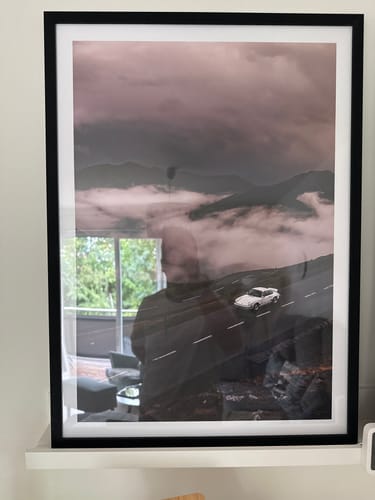 Customer photo review of Forest
