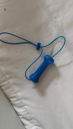 Customer photo review of PearlyPaw™ Dog Teeth Cleaner
