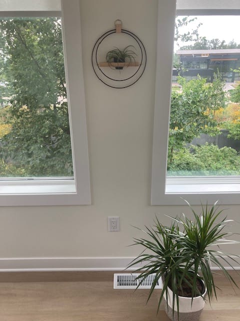 Customer photo review of Air Plant Shelf + Pot