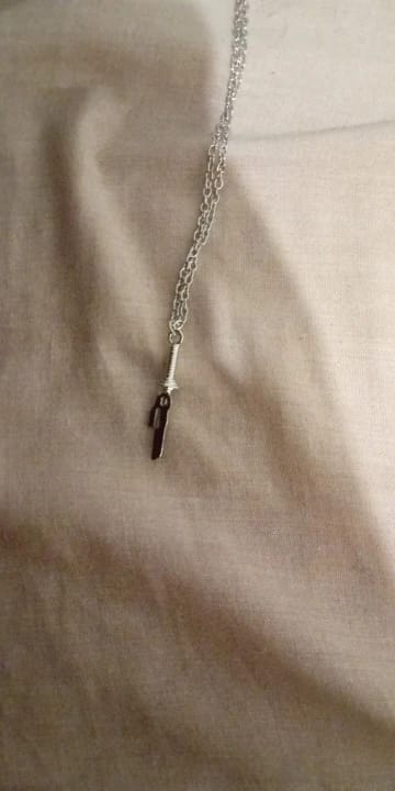 Customer photo review of Collar "Lanza Invertida"