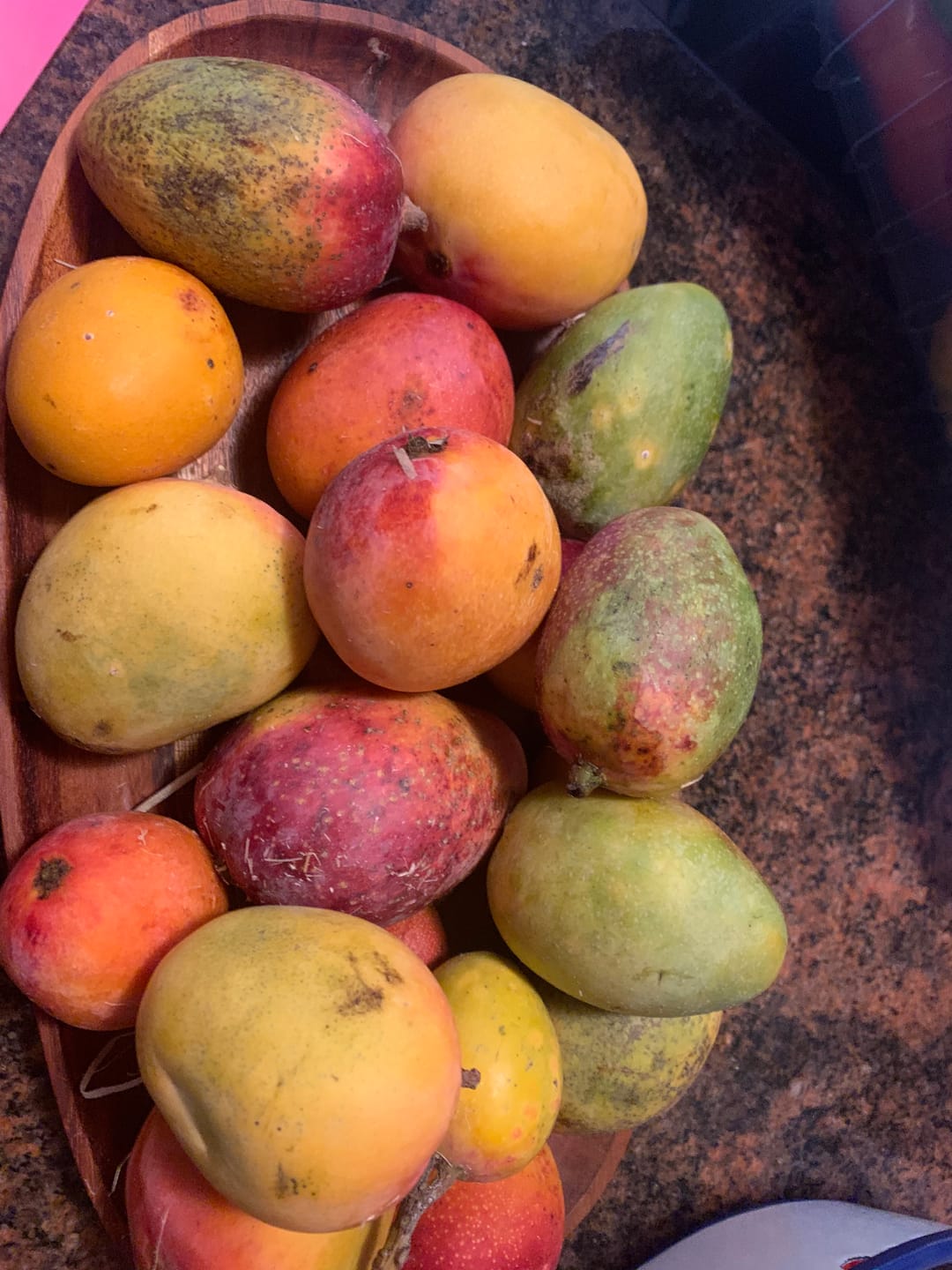 Customer photo review of Baby Mango Tropigold von Antonio
