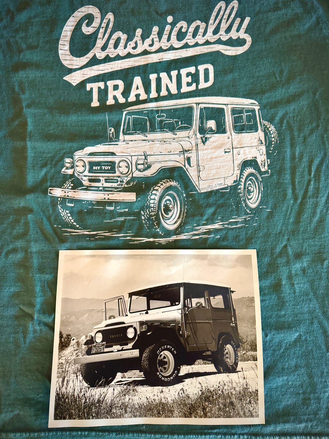 Customer photo review of Classically Trained My Toy Heavyweight Tee