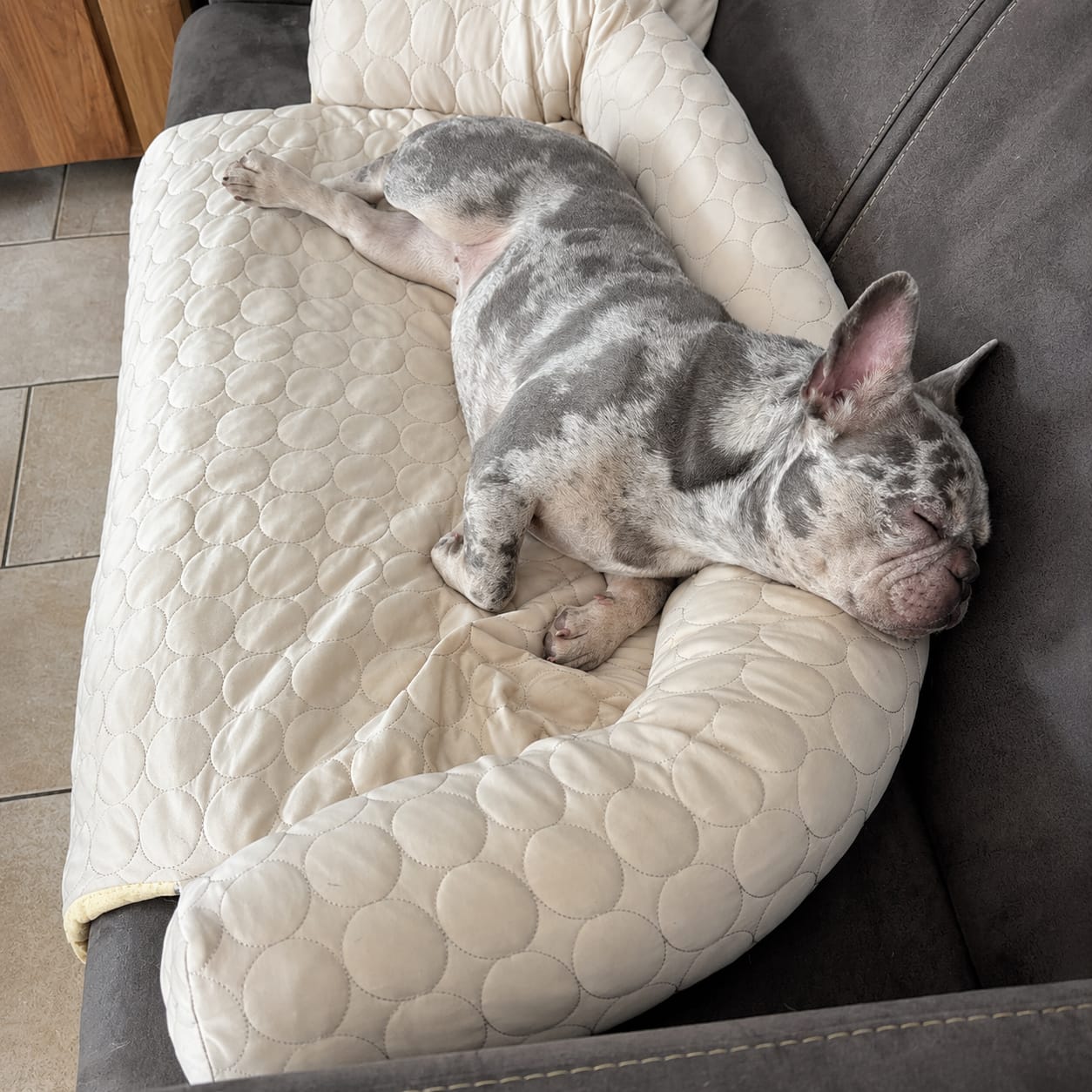 Customer photo review of Luxury Self-Cooling Bed Pawlaro