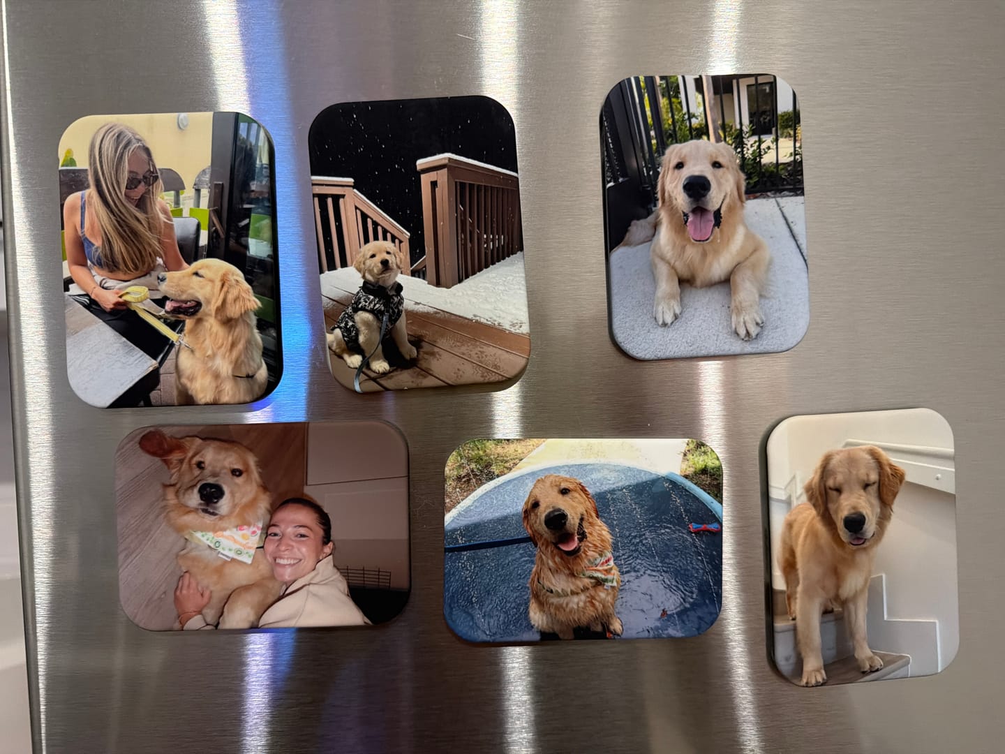 Customer photo review of Velvet Custom Photo Magnets