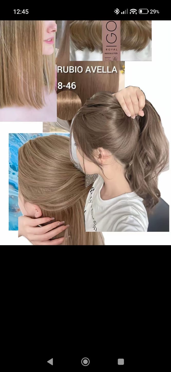 Customer photo review of Tintura Modastyling Tonalizadores Y Correctores 125ml Elgon