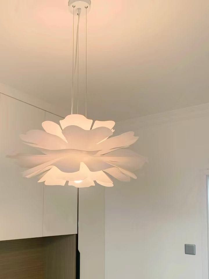 Customer photo review of ROSE