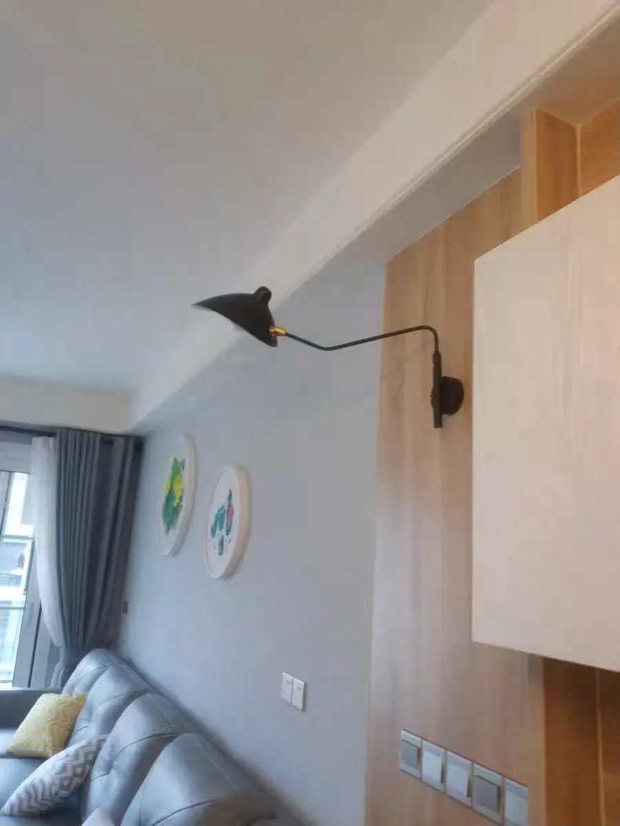 Customer photo review of Wall Sconce, Spider Long-Arm, Rotating Shade, Metal and Brass, E26 / E27