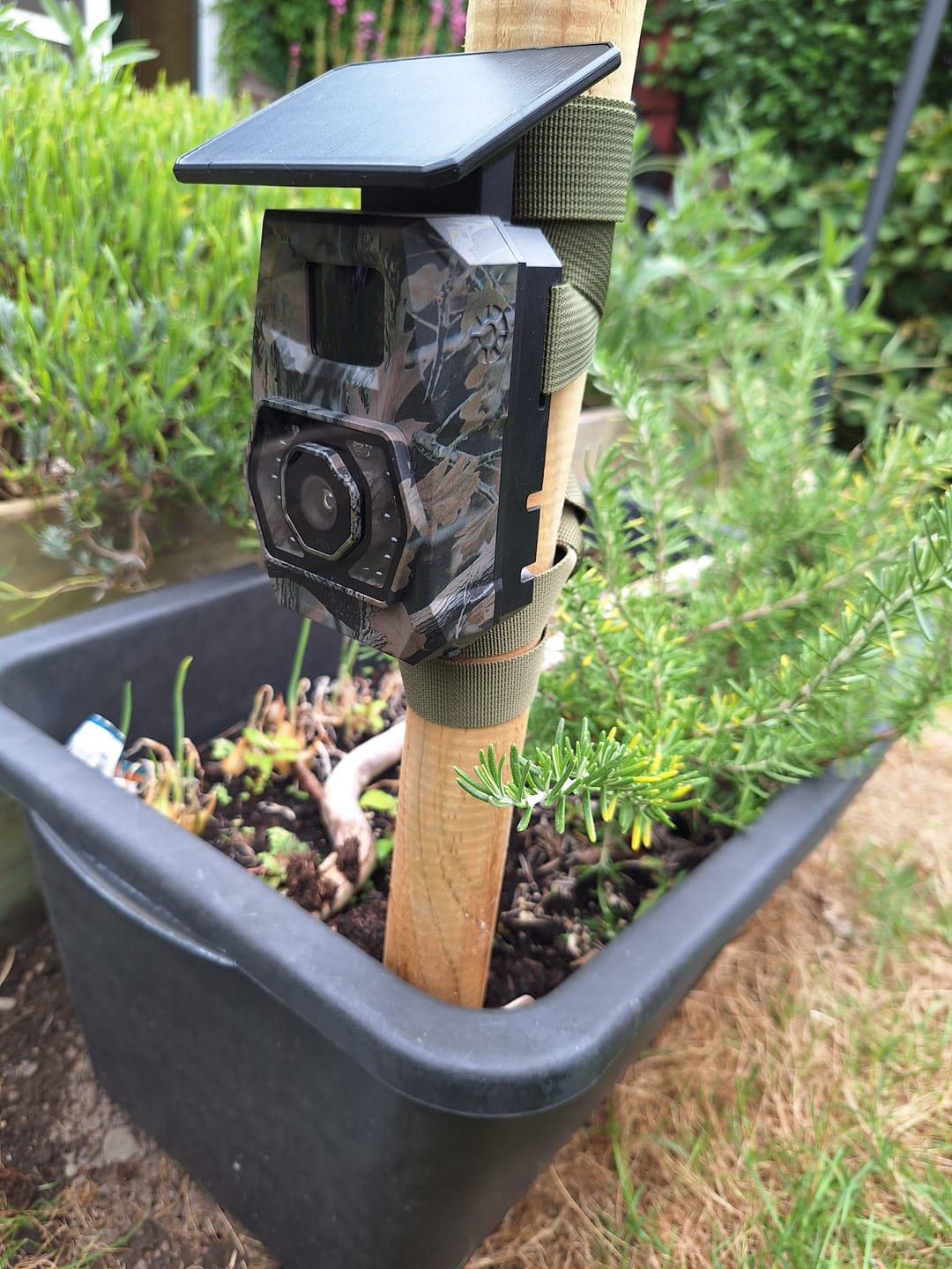 Customer photo review of NatureEye Pro