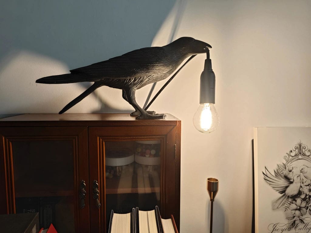 Customer photo review of Table Lamp, Raven Resin Sculpture, E14 Edison Bulb, White or Black