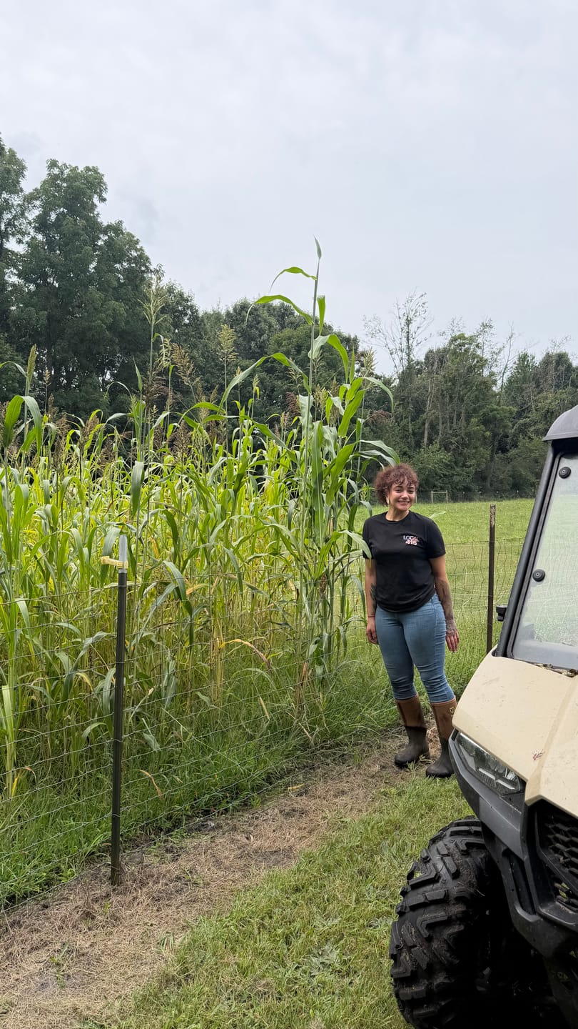 Customer photo review of Incognito™ Food Plot Seed