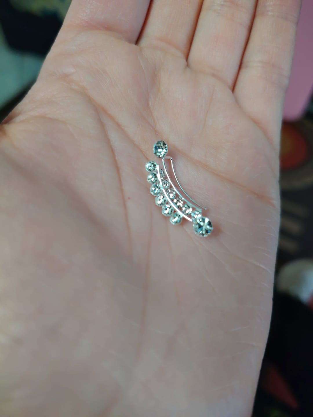 Customer photo review of Aro Trepador Circones
