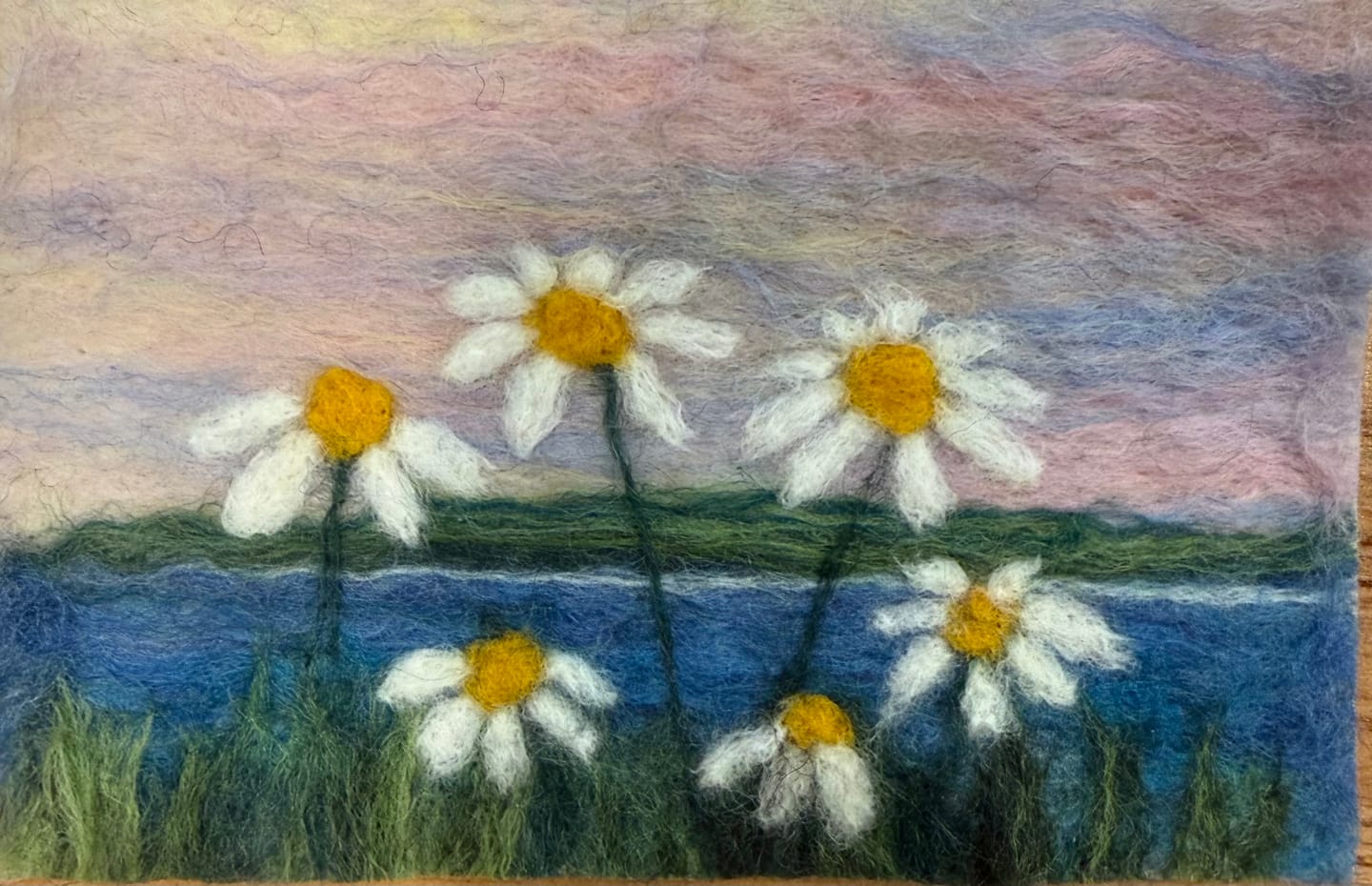 Customer photo review of 100% Wool Craft Felt By Yard