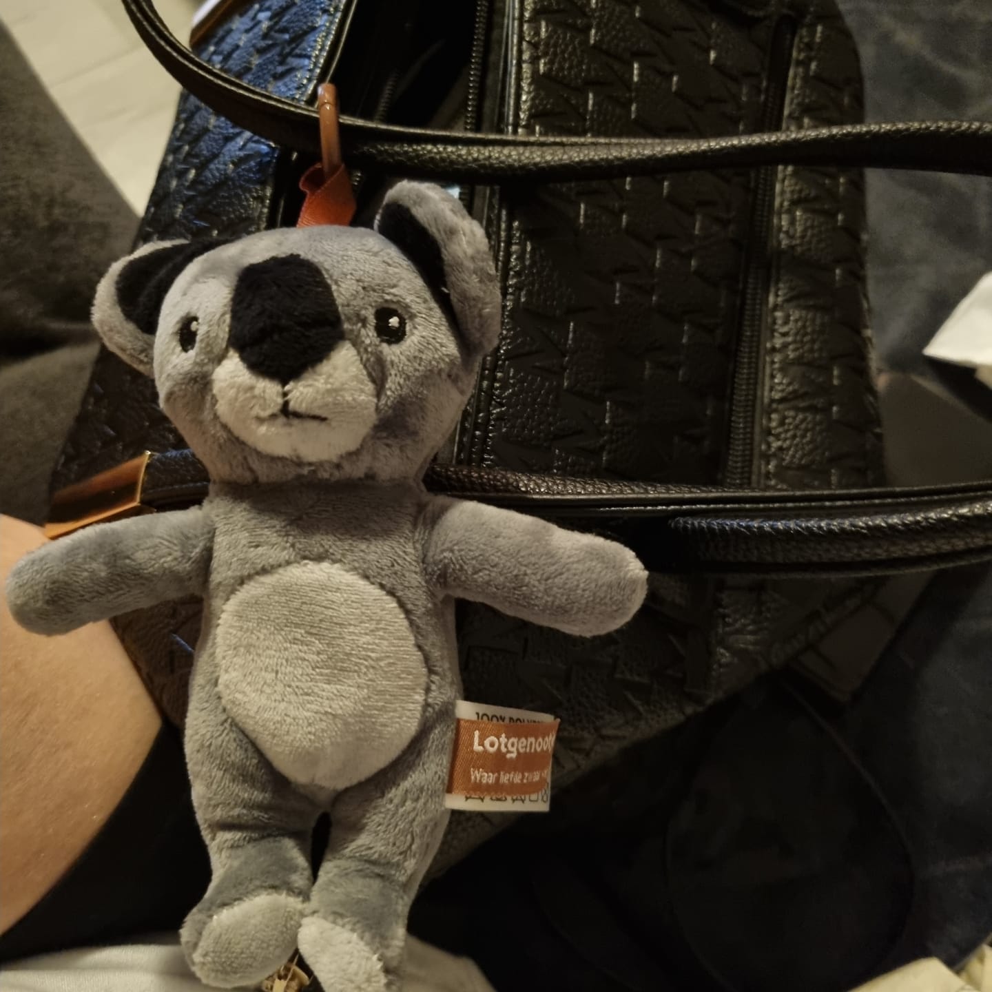 Customer photo review of Reisgenootje Tashanger Koala