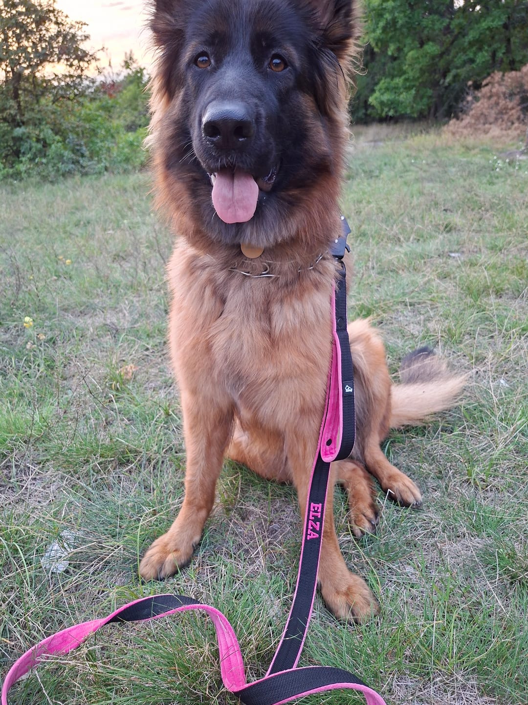 Customer photo review of Smycz przepinana dla psa z imieniem - Personal Multi Leash