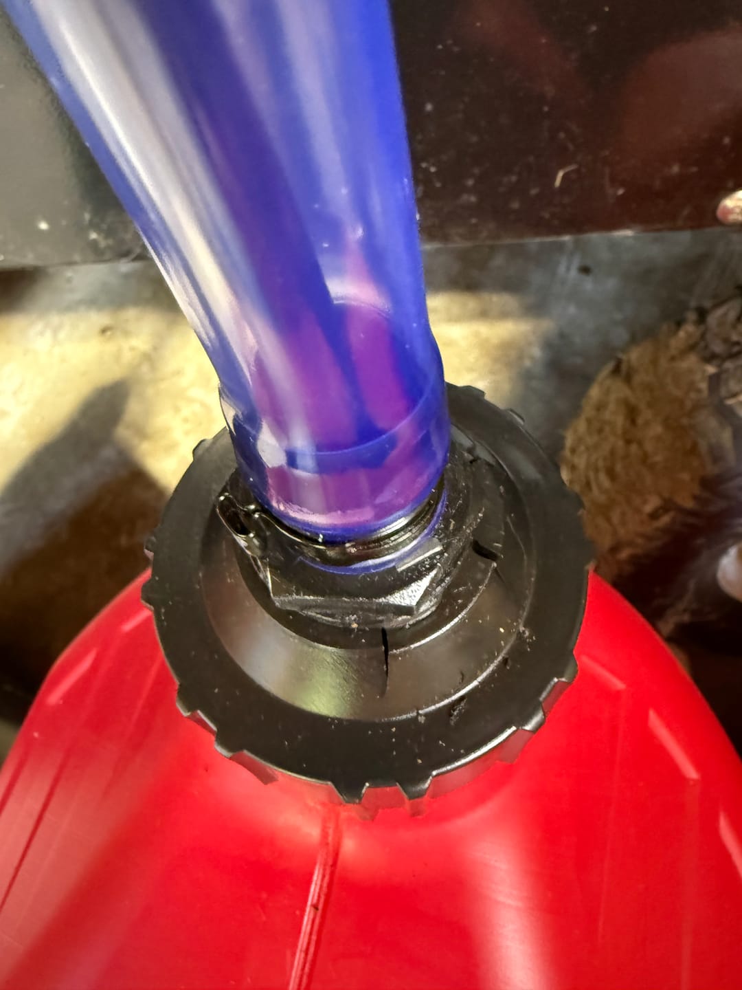 Customer photo review of Shipping Protection