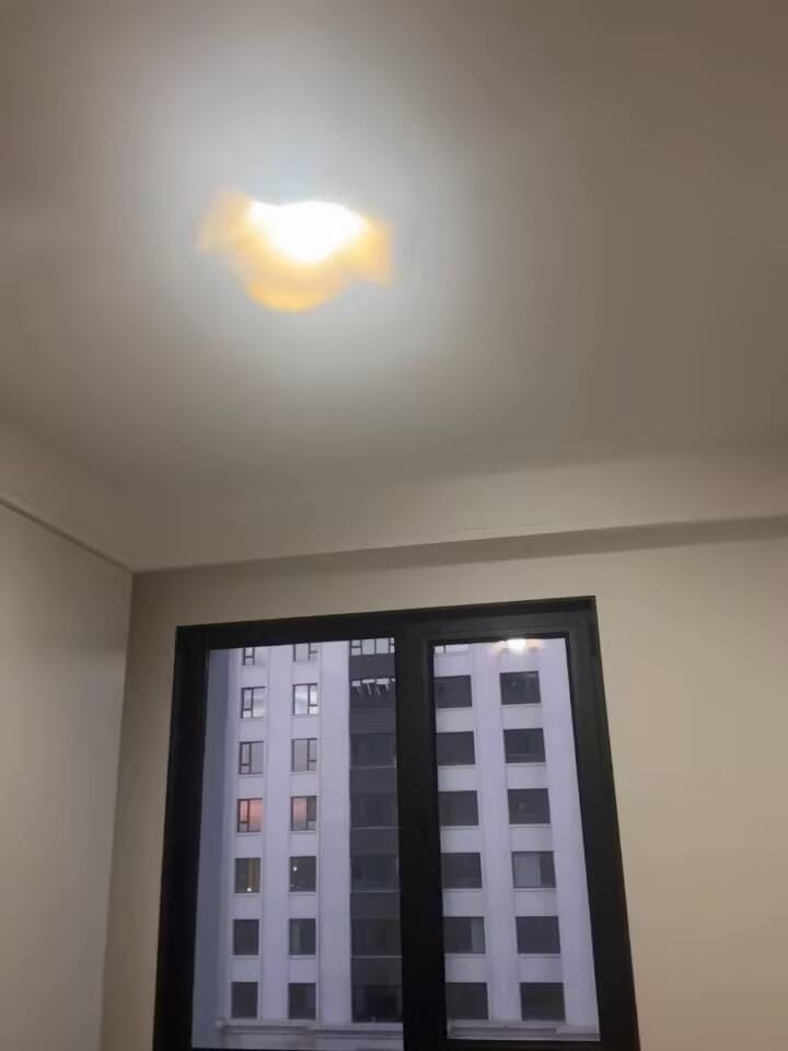 Customer photo review of Flush Mount Ceiling Light, Wood-Grain Leaf Shade, White, G9, Lotus