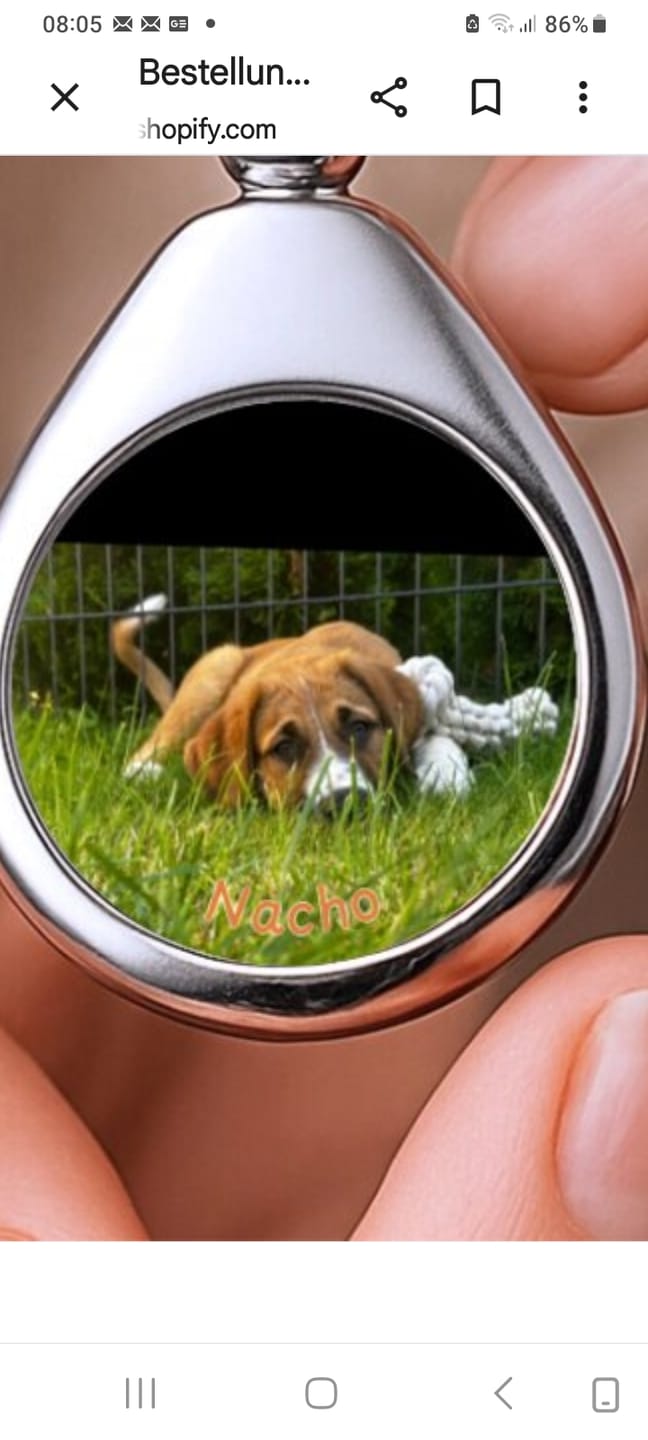 Customer photo review of Schlüsselanhänger mit Hundefoto