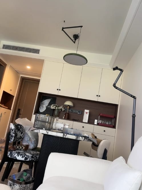 Customer photo review of Pendant Light, Mid-Century Swing Arm Disc, Acrylic, LED, Lola