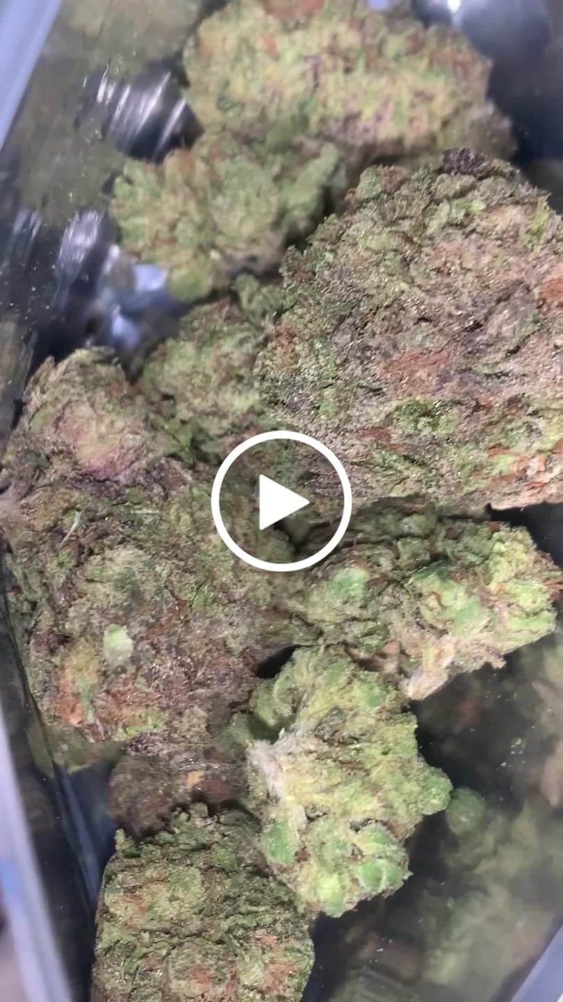 Customer video review of Black Diesel THCA Flower