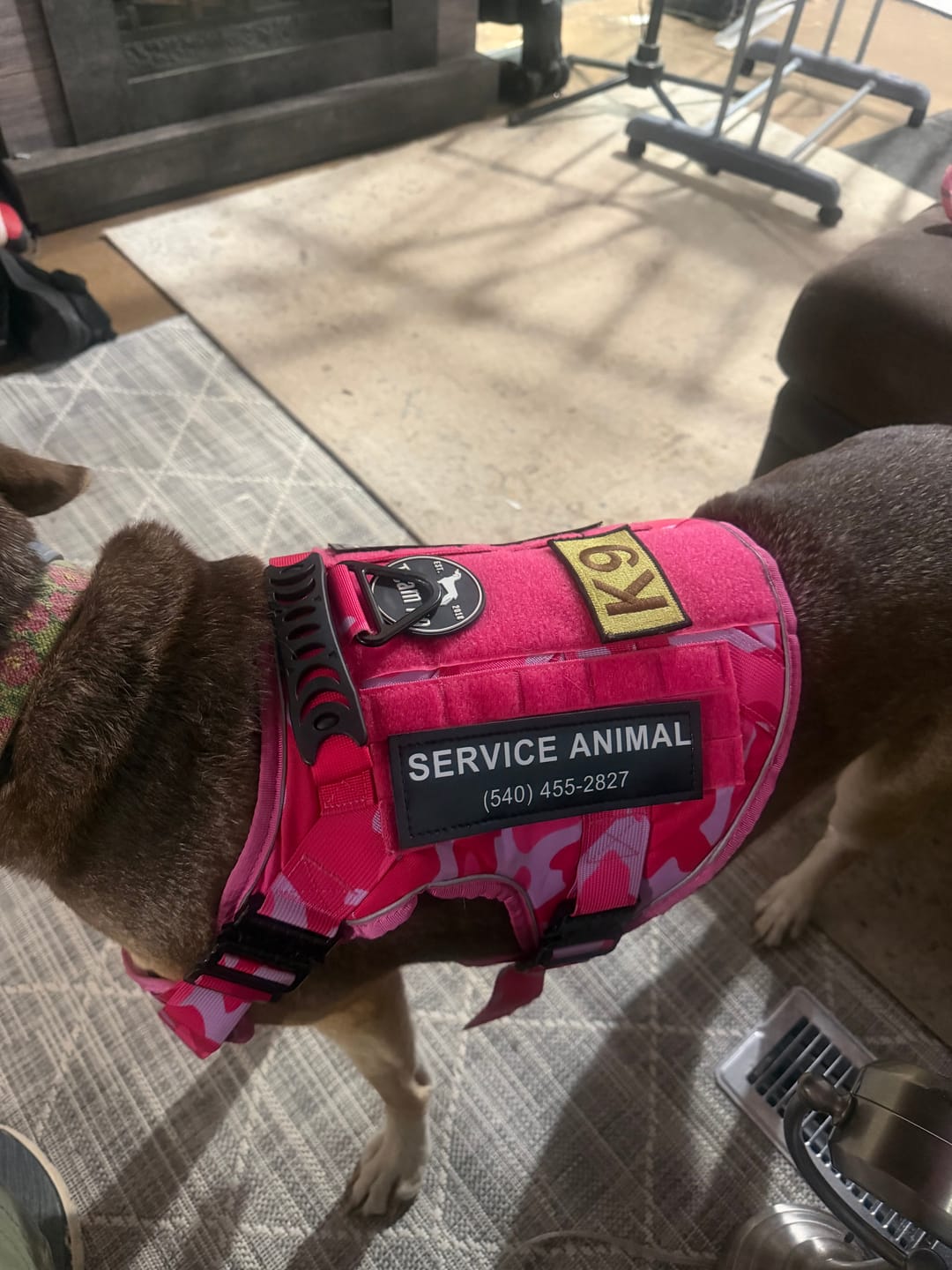 Customer photo review of Team K9® Custom Harness Patch (Printed Pair)