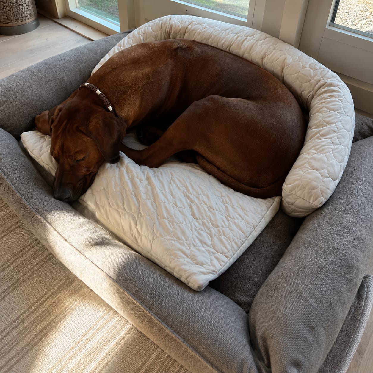Customer photo review of Luxury Self-Cooling Bed Pawlaro