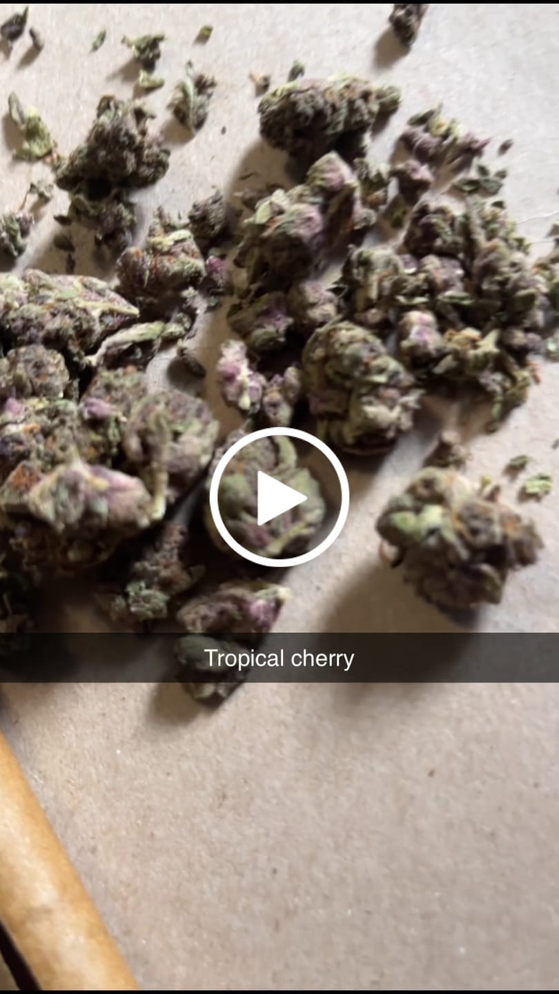 Customer video review of Tropicana Cherry THCA Flower