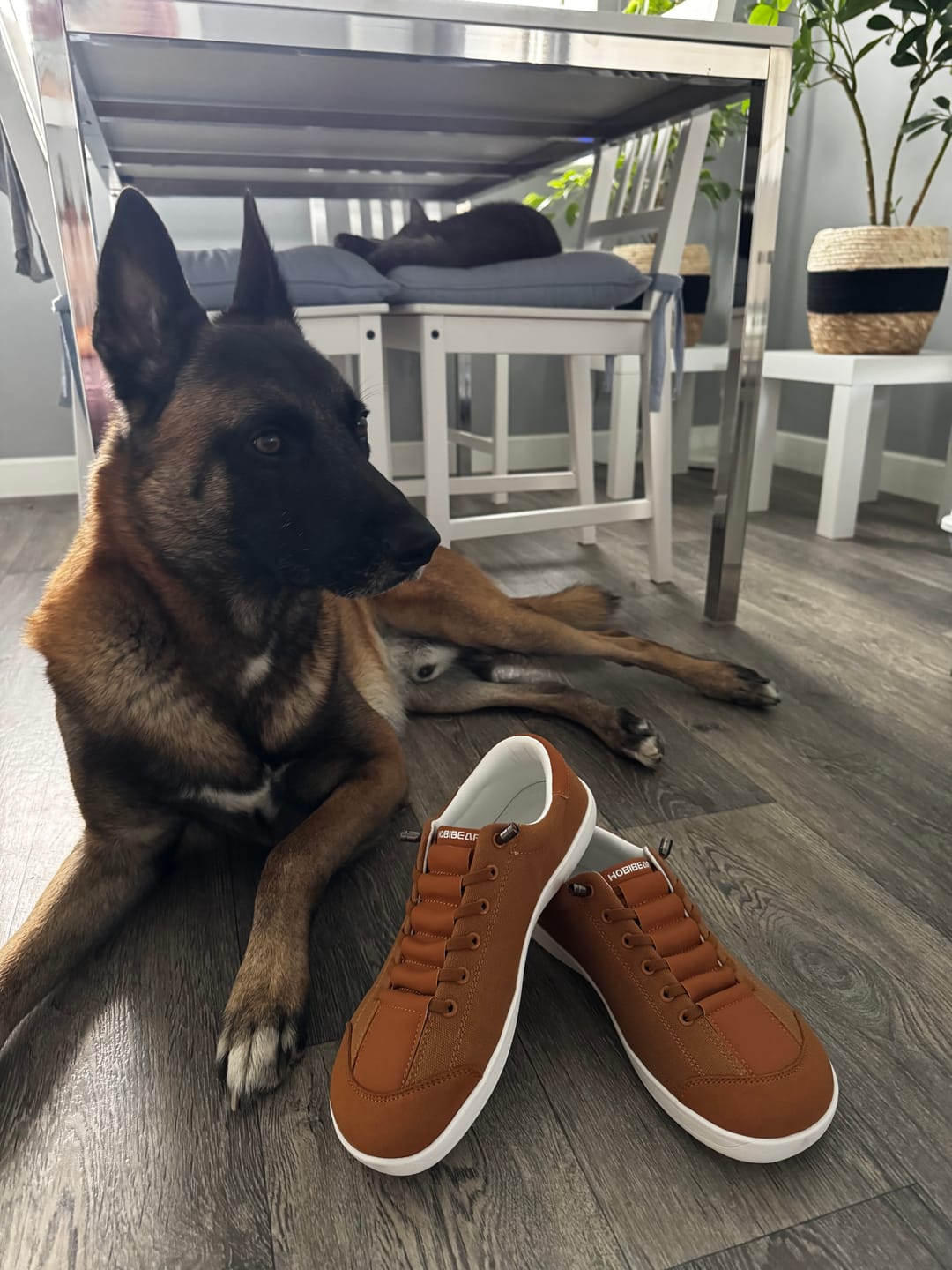Customer photo review of Sorrel 2.0 - Barefoot Shoes