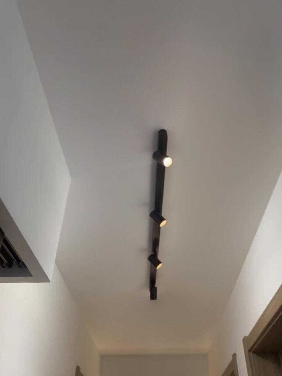 Customer photo review of Track Ceiling Light, Adjustable Spotlight Heads, Integrated LED, 24 Degree Beam