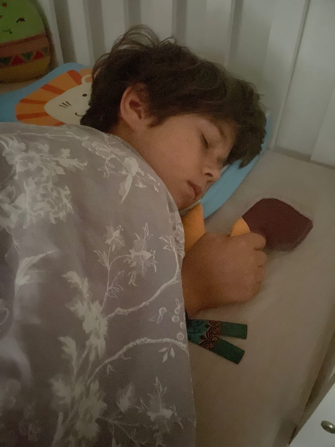 Customer photo review of WonderLab - Cuddle Buddy