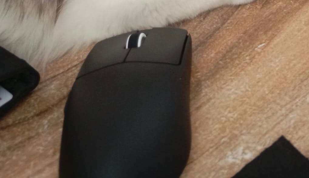 Customer photo review of VXE Dragonfly R1 Wireless Mouse