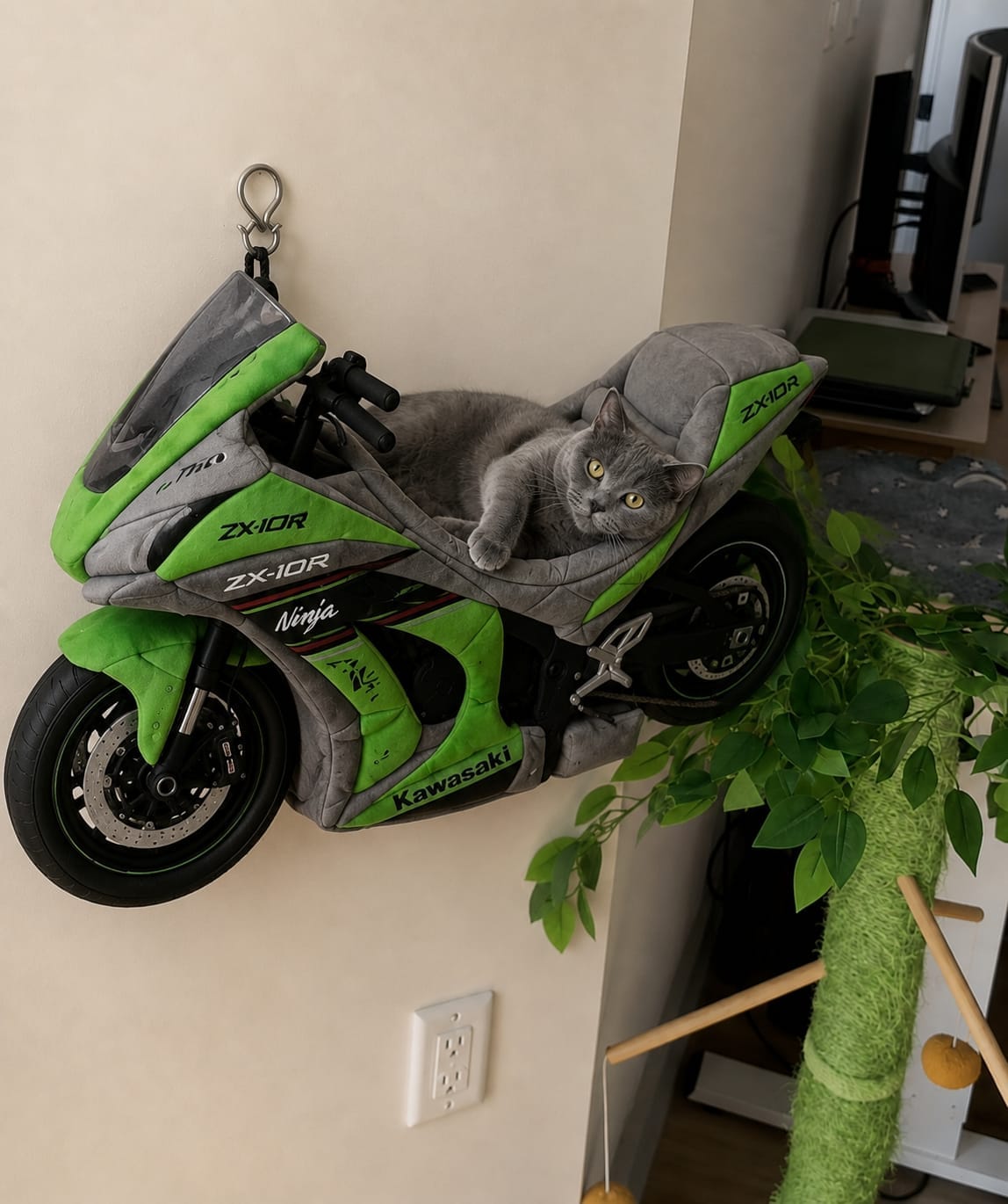 Customer photo review of CozyWhisker™ – Cozy Motorcycle Cat Bed