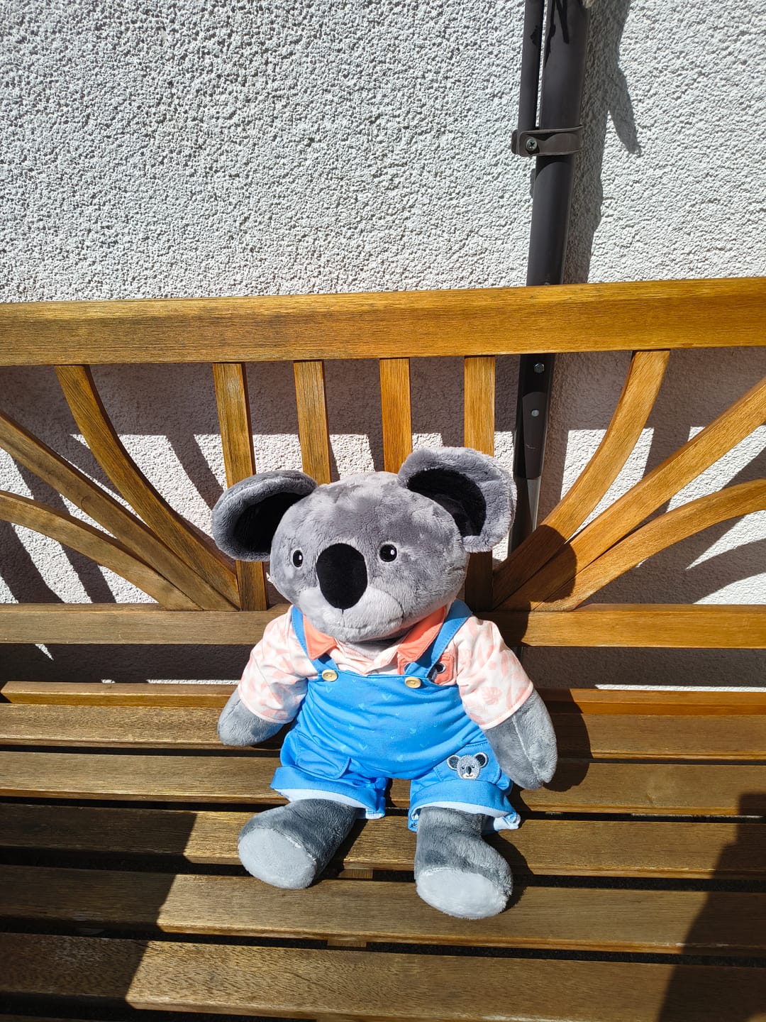 Customer photo review of Lotgenootje Koala 2kg