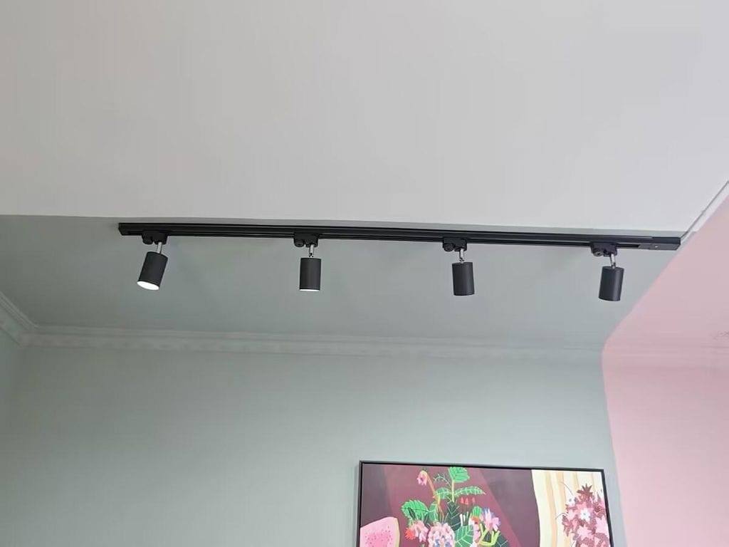 Customer photo review of Track Ceiling Light, Adjustable Spotlight Heads, Integrated LED, 24 Degree Beam