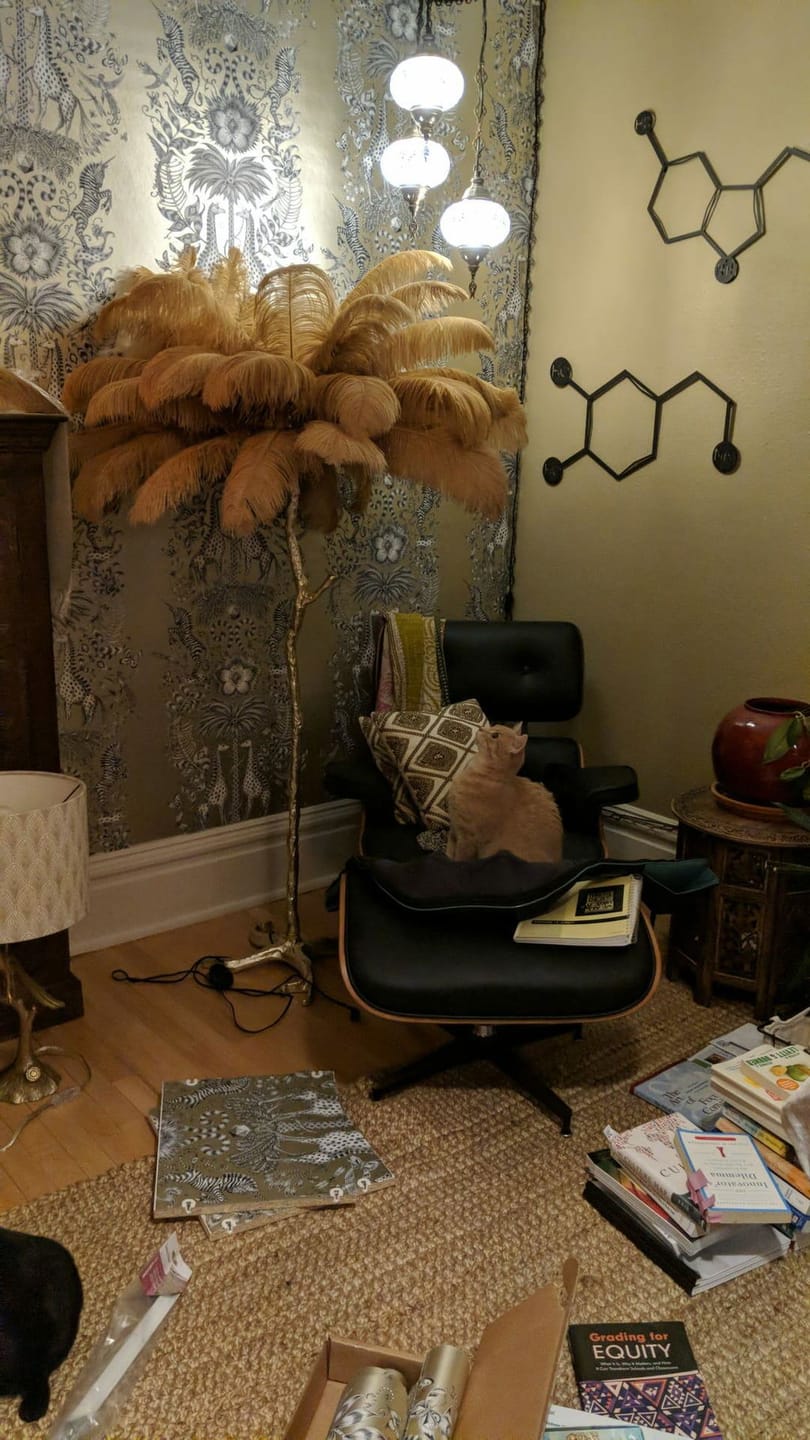Customer photo review of Floor Lamp, Ostrich Feather Shade, Brass Base, 6x G9, Plug-In