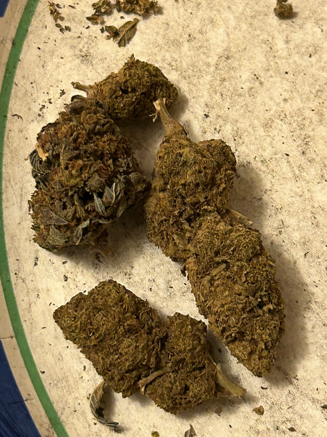Customer photo review of Bulk THCA Flower Pounds