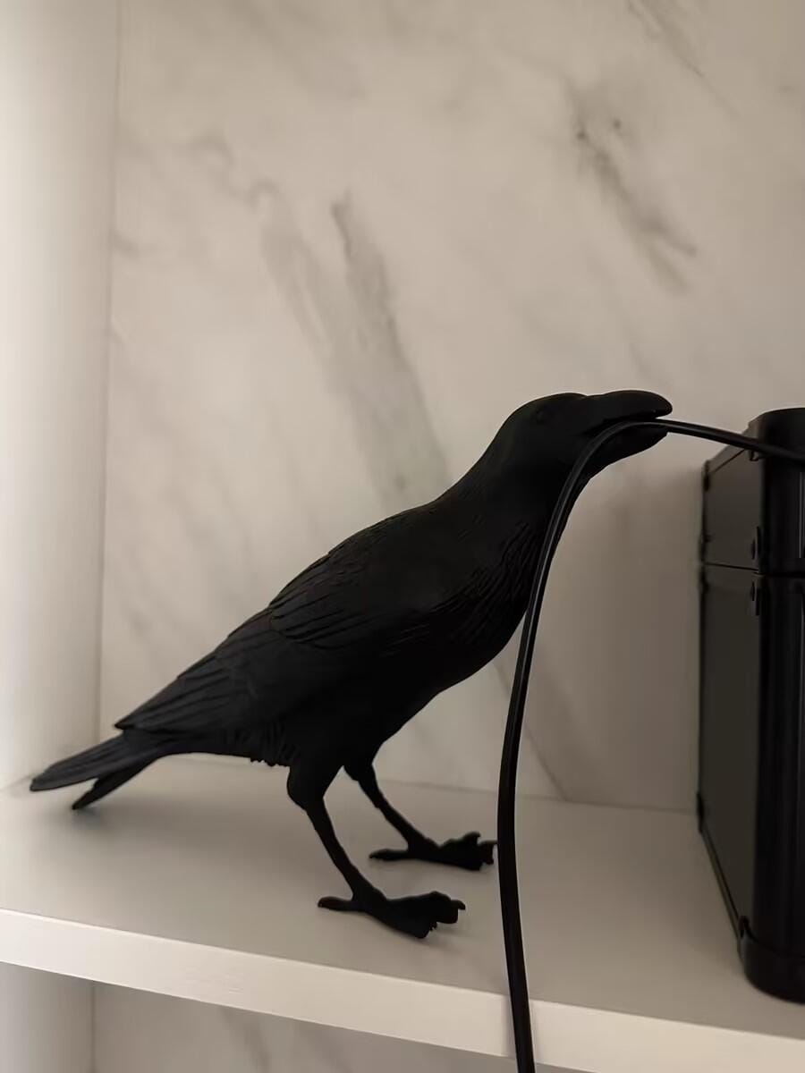 Customer photo review of Table Lamp, Raven Resin Sculpture, E14 Edison Bulb, White or Black
