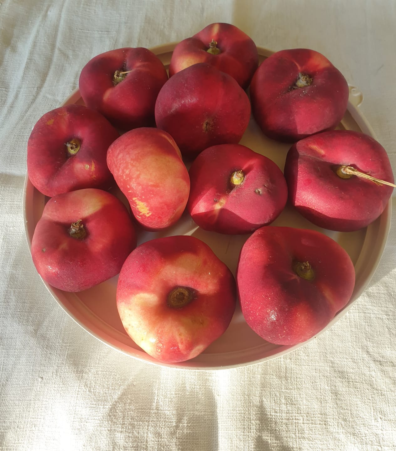 Customer photo review of Mini Weinberg-Nektarinen Bio von Nicolas 3kg Retterbox