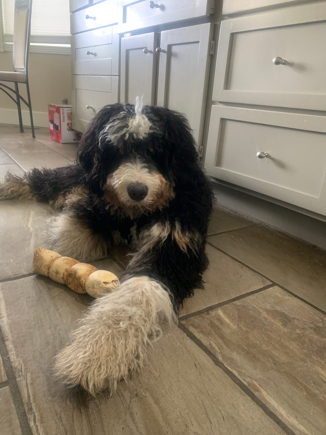 Customer photo review of 10-12 Inch Peanut Butter Cheek Roll
