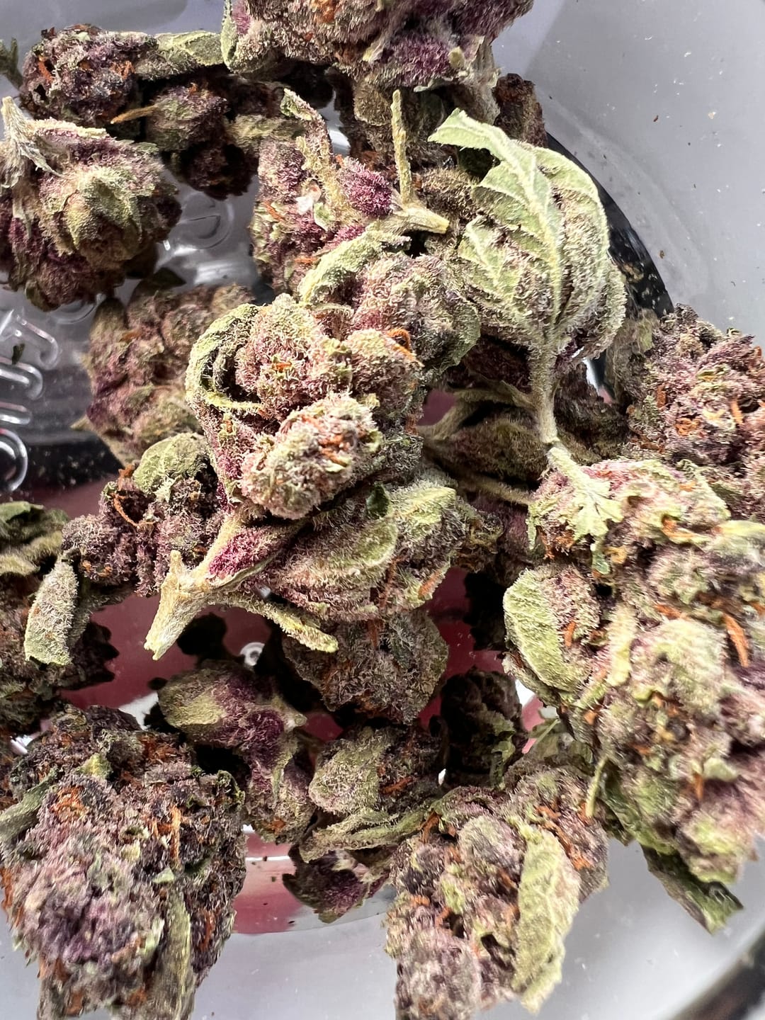 Customer photo review of Tropicana Cherry THCA Smalls