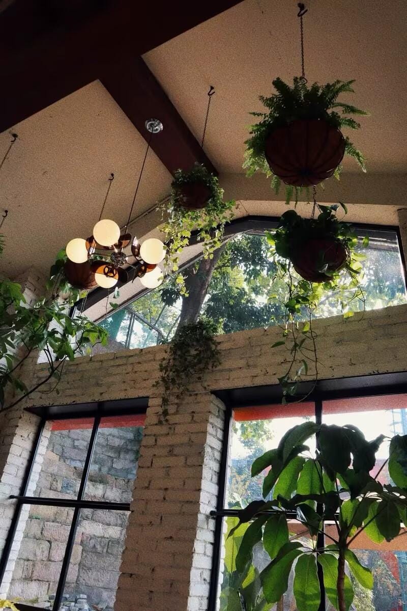 Customer photo review of Sputnik Chandelier, Iron Frame, Glass Shades, E26/E27, Chrome Finish