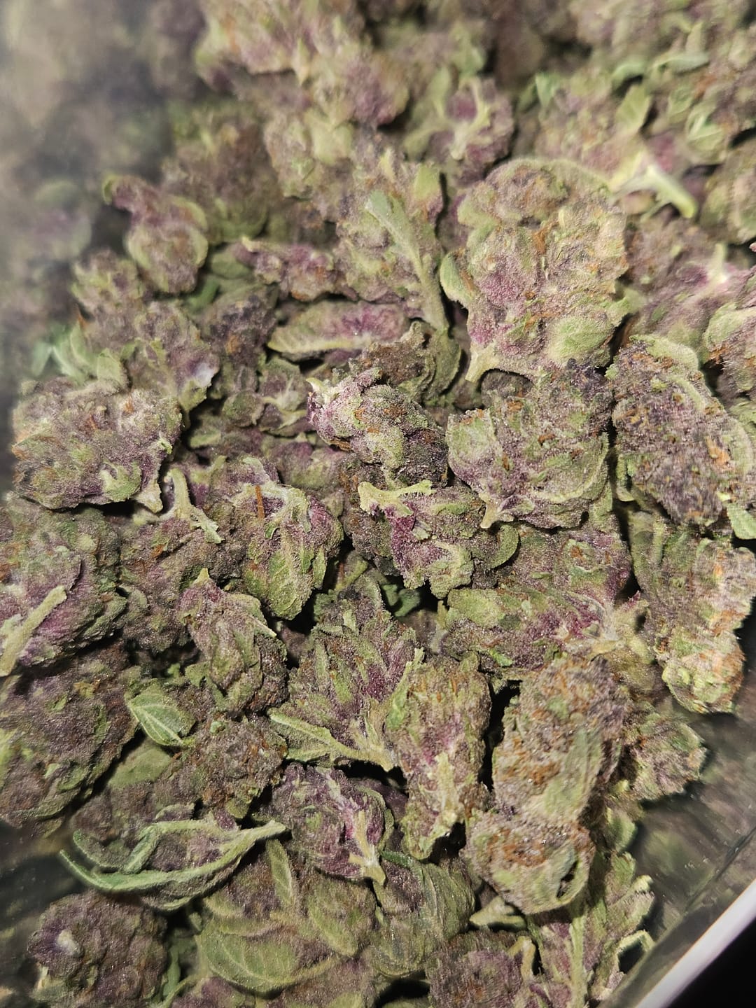 Customer photo review of Tropicana Cherry THCA Smalls