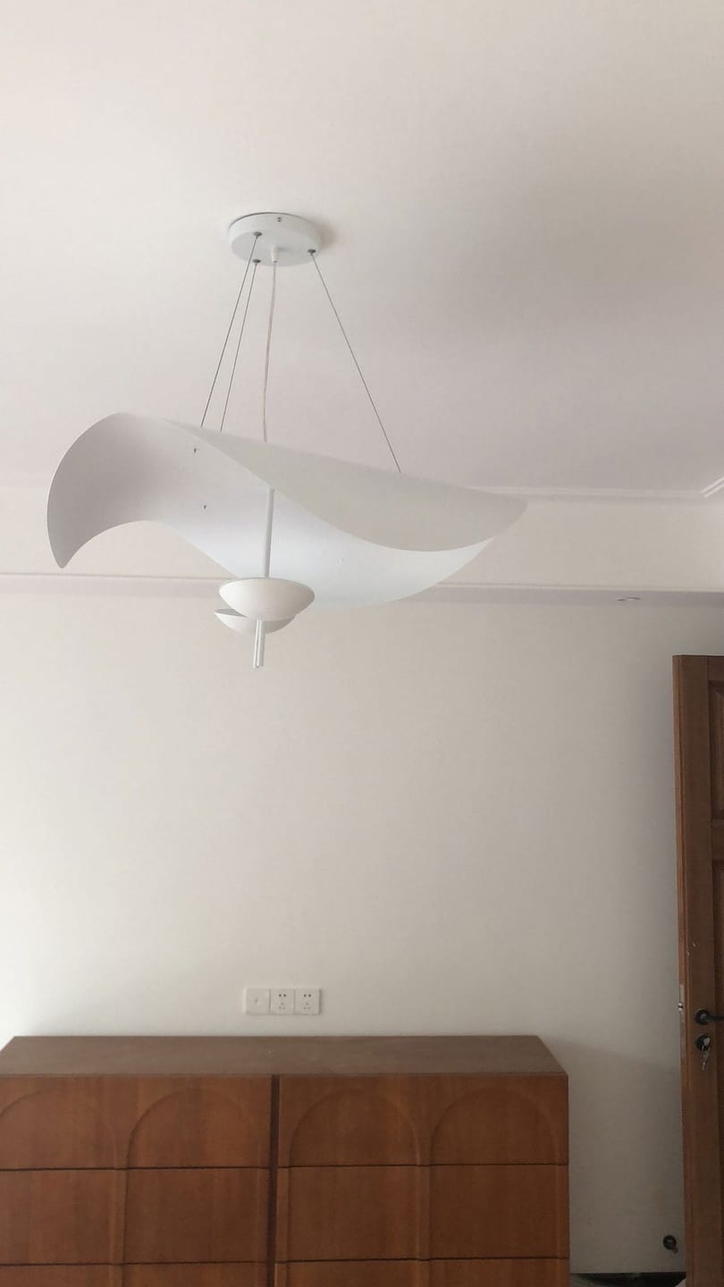 Customer photo review of Giorgio Pendant Light, Curved Disc Shade, Integrated LED, Dimmable