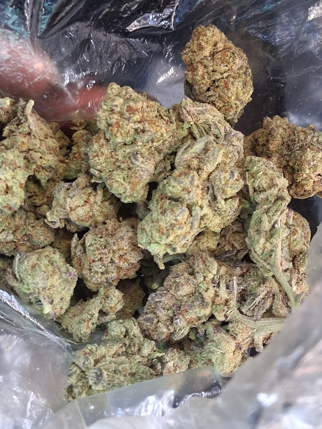 Customer photo review of Hyper Za THCA Flower