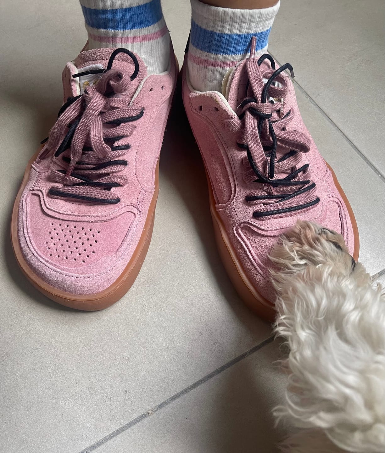 Customer photo review of Shibuya Colors Candy