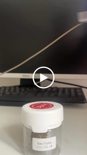 Customer video review of THC-A 31% Flower Gary Payton