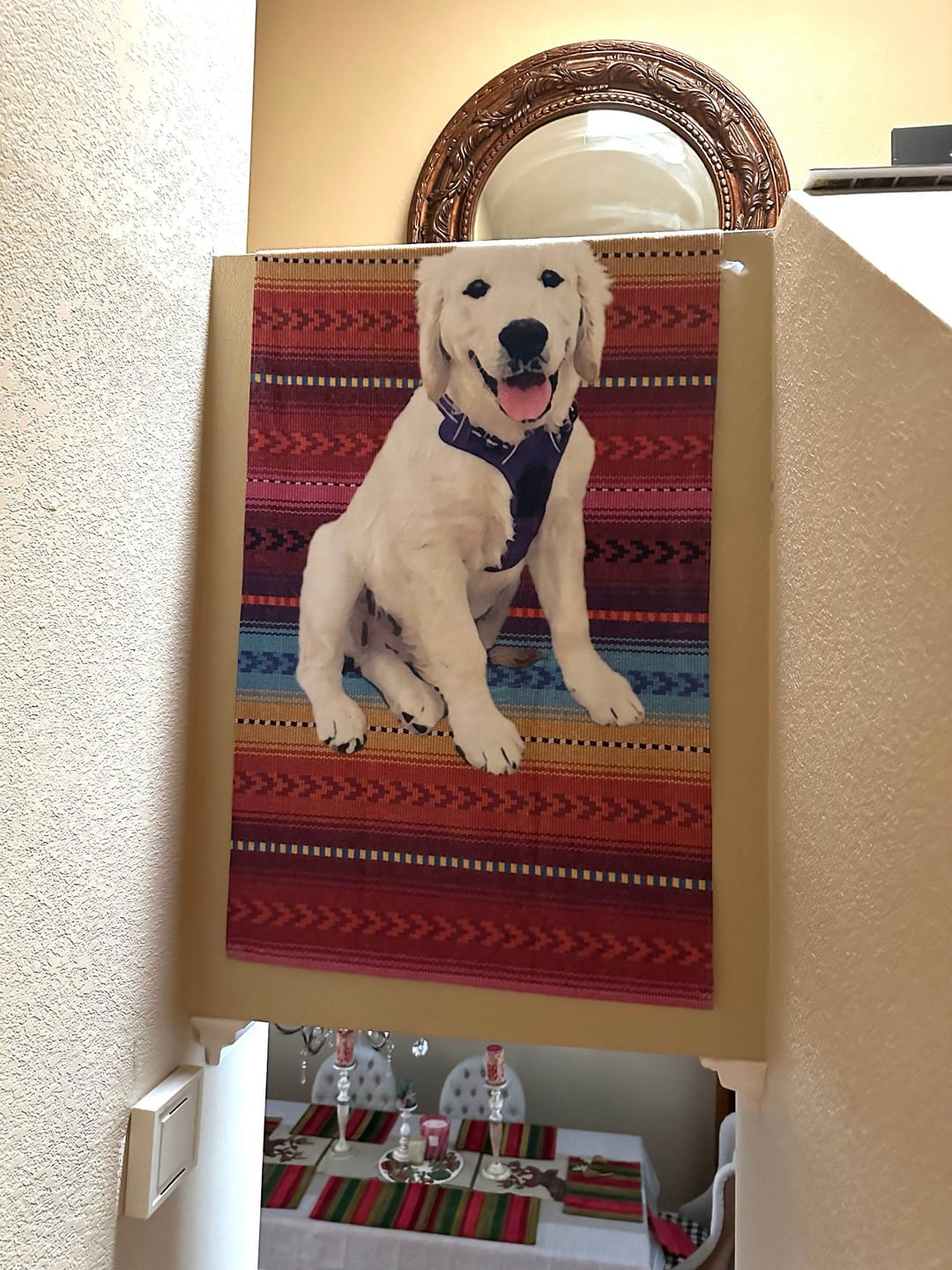 Customer photo review of Custom Pet Portrait Beach Towel: Personalized Dog Photo Gift