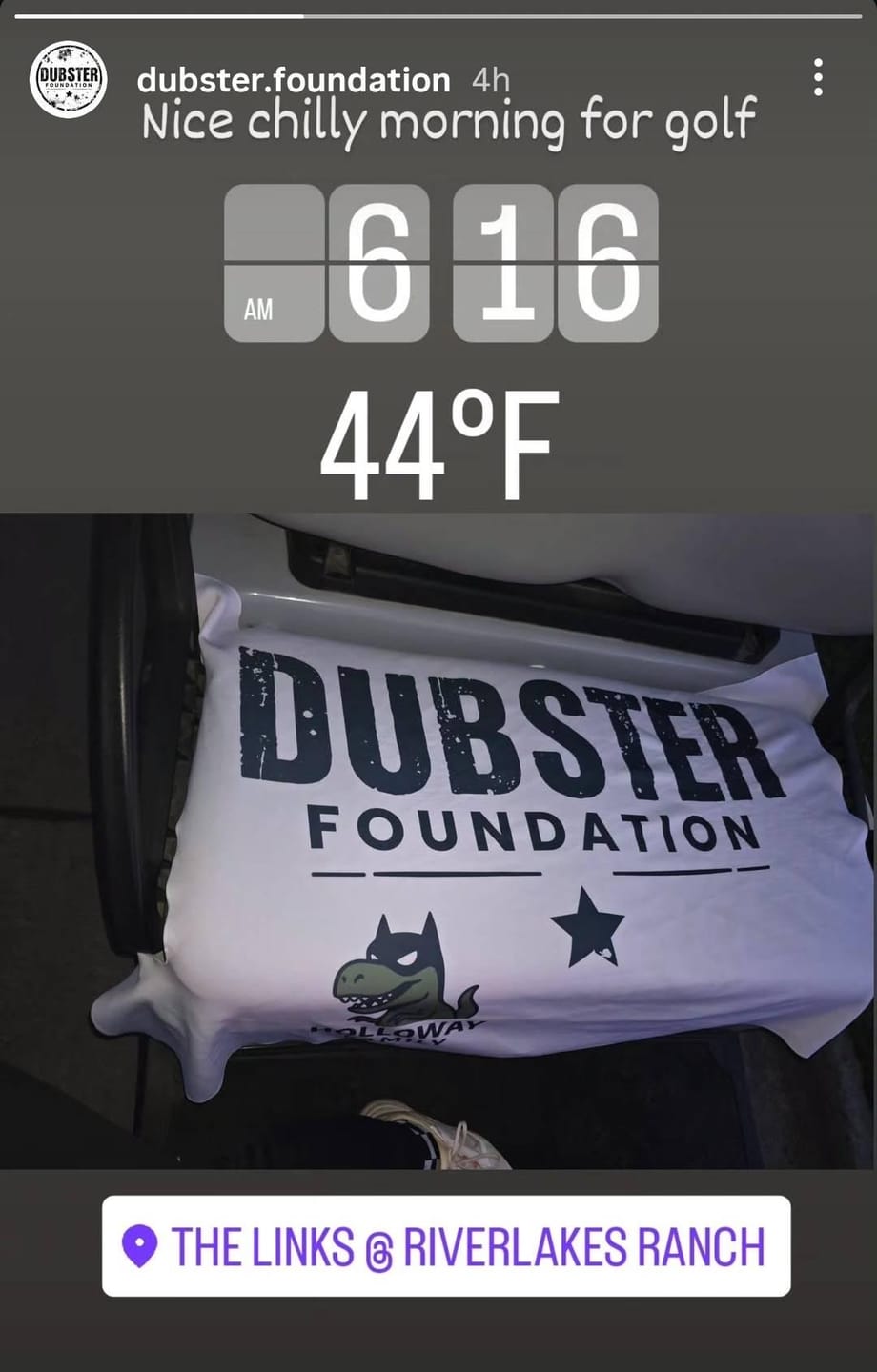 Customer photo review of Custom Golf Cart Seat Cover, Cloth, Handmade USA