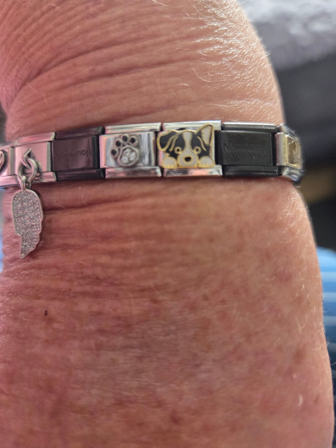Customer photo review of Dogs